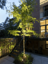 In-Lite SCOPE licht op boom