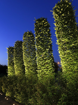 In-Lite BIG SCOPE NARROW hoge bomen verlichting