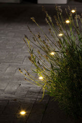 In-Lite DB-LED overrijdbare grondspot