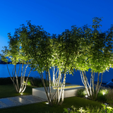 In-Lite NERO verlichting voor hoge bomen