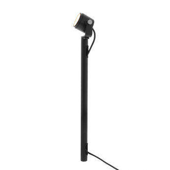 In-Lite RISER 1