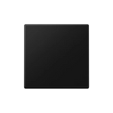 JUNG bedieningswip - A500 grafietzwart mat (A590SWM)