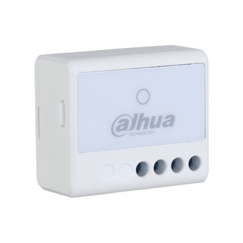 Dahua alarm relais