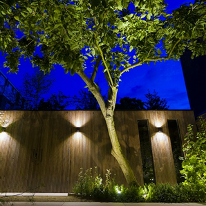 In-Lite spot voor slanke bomen