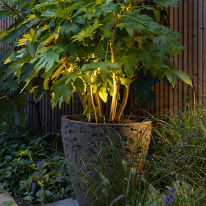 subtiele tuinverlichting plantenpot