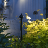 dubbele tuinspot border verlichting
