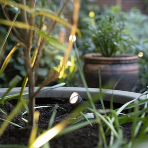 tuinspot voor bomen en borders
