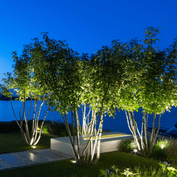 In-Lite NERO verlichting voor hoge bomen